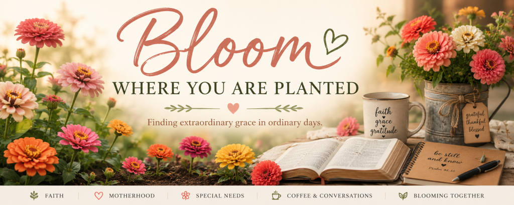 Bloom Where You Are Planted — Finding extraordinary grace in ordinary days.